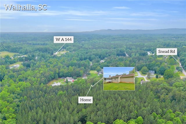 211 Jana Dr, Walhalla, SC 29691 - aerial view of property and surrounding area with a forest and property parcel outlined