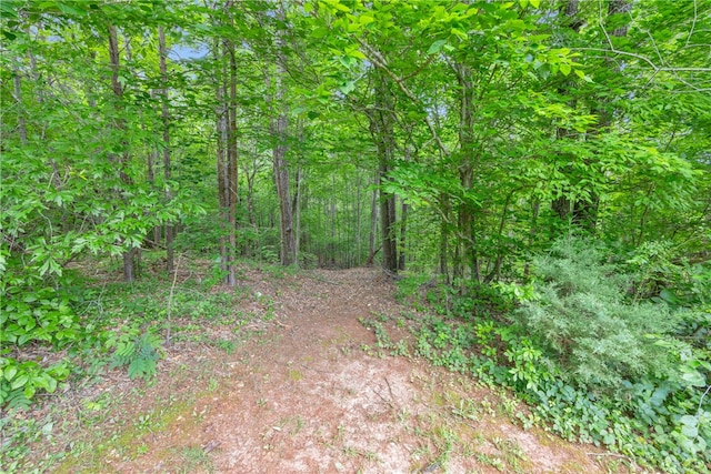 211 Jana Dr, Walhalla, SC 29691 - view of local wilderness