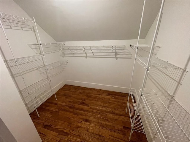 501 Seneca Dr, Seneca, SC 29678 - walk in closet with wood finished floors and vaulted ceiling