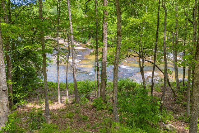 105 Chauga Valley Rd, Westminster, SC 29693 - photo 5