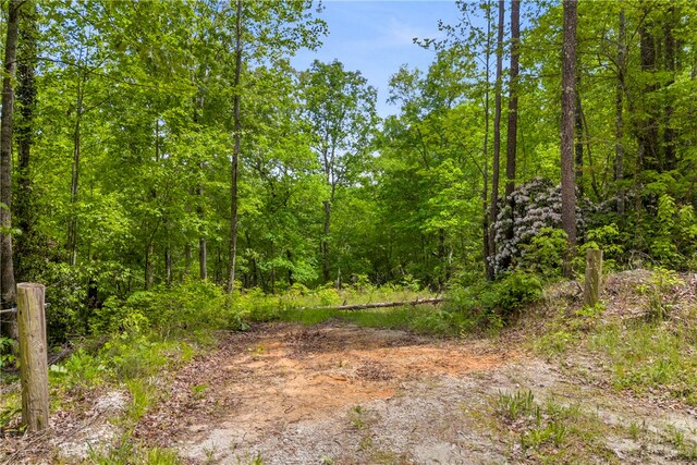 105 Chauga Valley Rd, Westminster, SC 29693 - photo 6