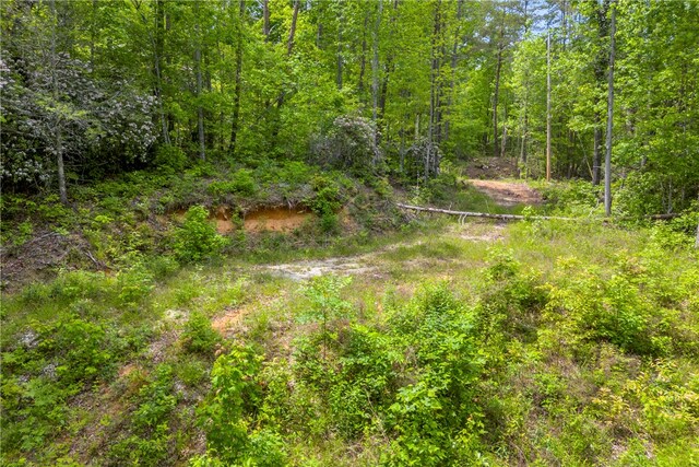 105 Chauga Valley Rd, Westminster, SC 29693 - photo 8