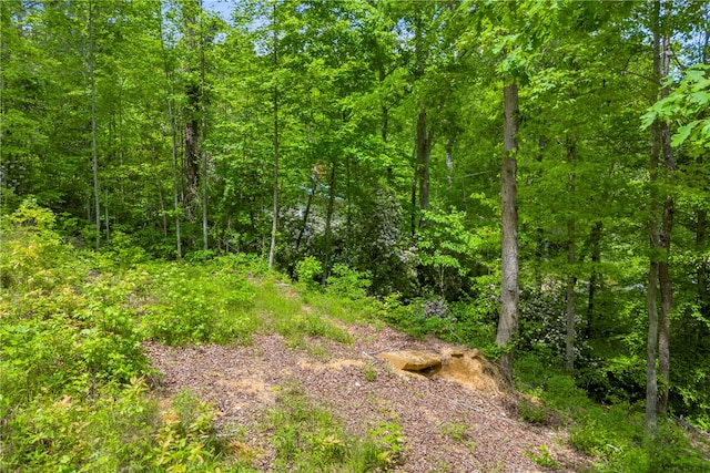 105 Chauga Valley Rd, Westminster, SC 29693 - photo 9