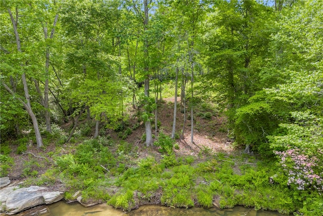105 Chauga Valley Rd, Westminster, SC 29693 - photo 10