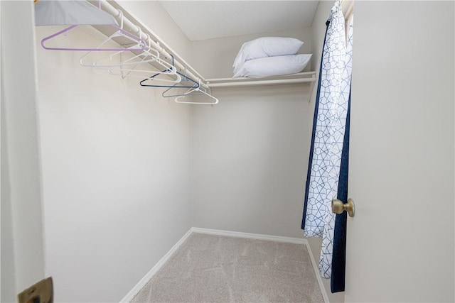 410 S Cove Rd, Seneca, SC 29672 - walk in closet featuring carpet