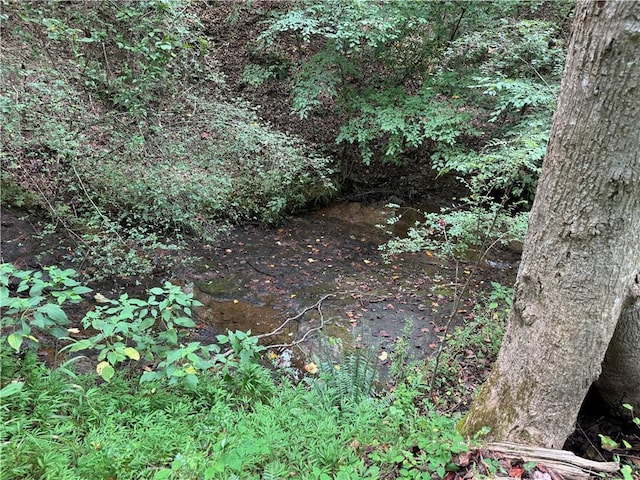 261 N Mcallister Rd, Liberty, SC 29657 - view of local wilderness