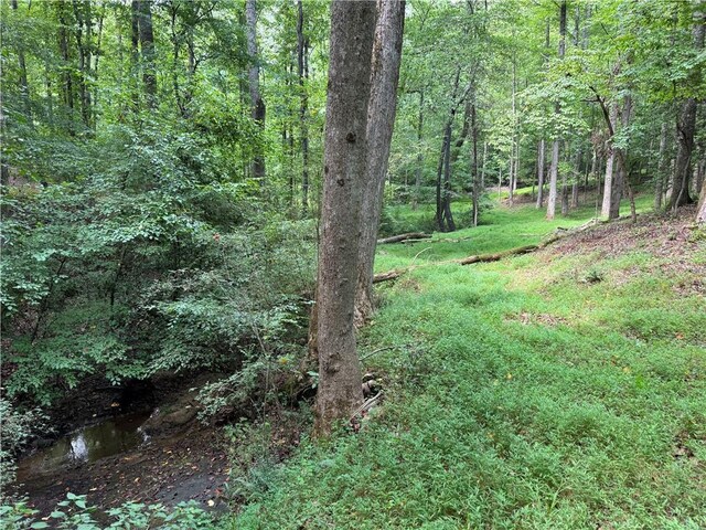 261 N Mcallister Rd, Liberty, SC 29657 - view of tree filled area