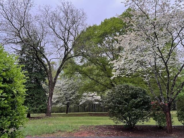 261 N Mcallister Rd, Liberty, SC 29657 - view of green lawn
