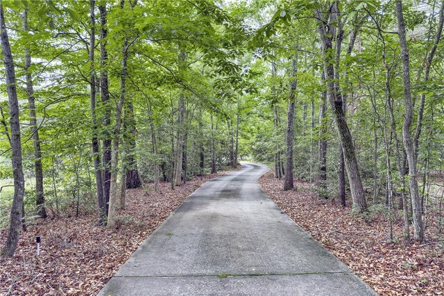 101 Dove Hill Ct, Easley, SC 29640 - photo 30