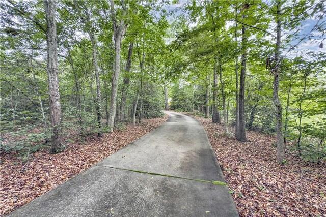 101 Dove Hill Ct, Easley, SC 29640 - photo 31