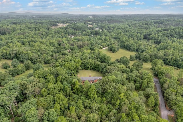 101 Dove Hill Ct, Easley, SC 29640 - photo 35