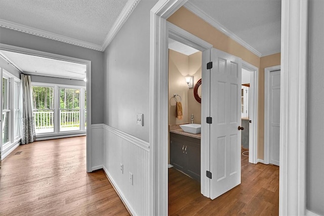 1208 Marett Rd, Pendleton, SC 29670 - hallway featuring wood finished floors, a sink, wainscoting, ornamental molding, and a textured ceiling