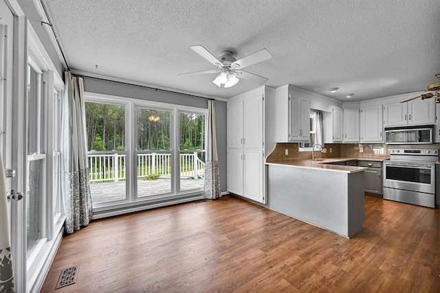 1208 Marett Rd, Pendleton, SC 29670 - kitchen featuring stainless steel appliances, a ceiling fan, a peninsula, a textured ceiling, and dark wood-style flooring