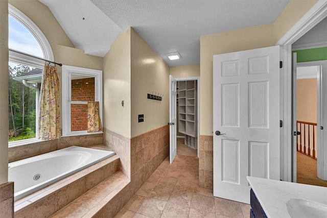 1208 Marett Rd, Pendleton, SC 29670 - bathroom with healthy amount of natural light, a whirlpool tub, vanity, a walk in closet, and a wainscoted wall