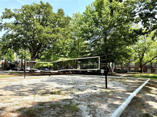 833 Old Greenville Hwy Unit 323, Clemson, SC 29631 - view of home's community featuring volleyball court