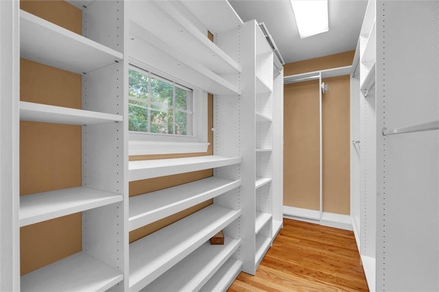 133 Cherokee Rd, Easley, SC 29642 - walk in closet featuring wood finished floors