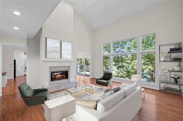 118 Pinnacle Pointe Dr, Seneca, SC 29672 - living area featuring high vaulted ceiling, a high end fireplace, wood finished floors, recessed lighting, and baseboards