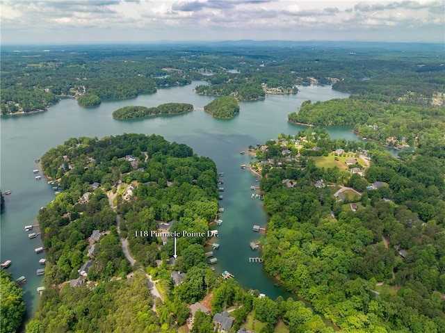 118 Pinnacle Pointe Dr, Seneca, SC 29672 - bird's eye view of a nearby body of water and a heavily wooded area
