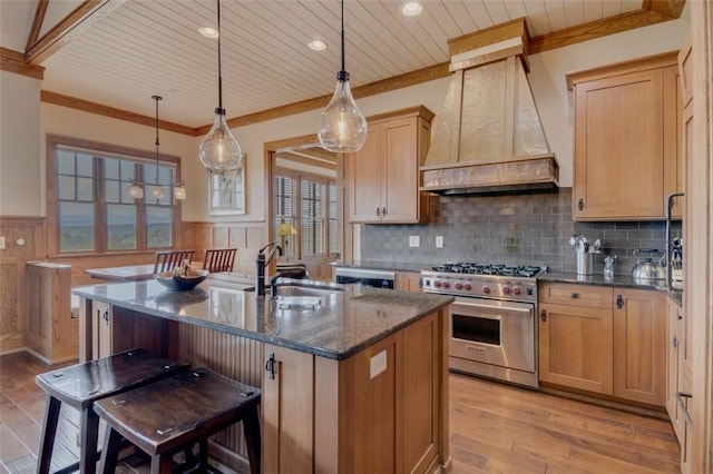 143 Button Bush Trl, Six Mile, SC 29682 - kitchen with designer range, custom exhaust hood, a sink, wainscoting, and ornamental molding