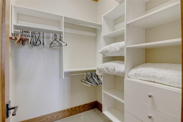 143 Button Bush Trl, Six Mile, SC 29682 - view of spacious closet