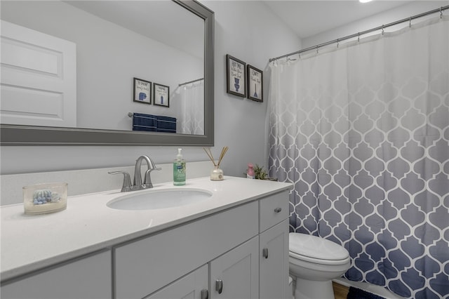 400 N Oak Crest Dr, Belton, SC 29627 - bathroom featuring vanity, toilet, wood finished floors, and a shower with curtain
