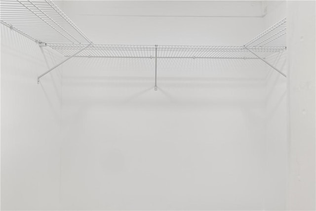 701 S Townville St, Seneca, SC 29678 - view of walk in closet