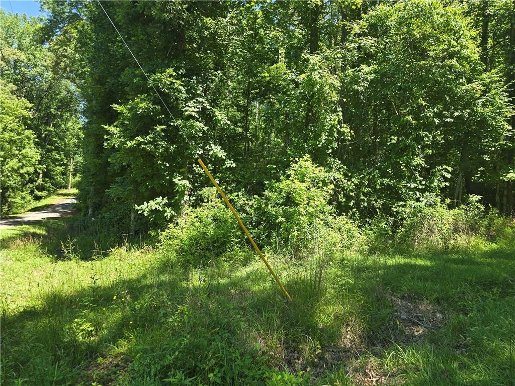 LOT44 Mckenzie Dr, Anderson, SC 29624 - photo 1