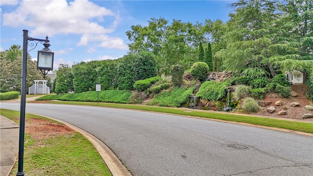 406 Bee Cove Way, Pendleton, SC 29670 - view of asphalt street featuring curbs, sidewalks, and street lights