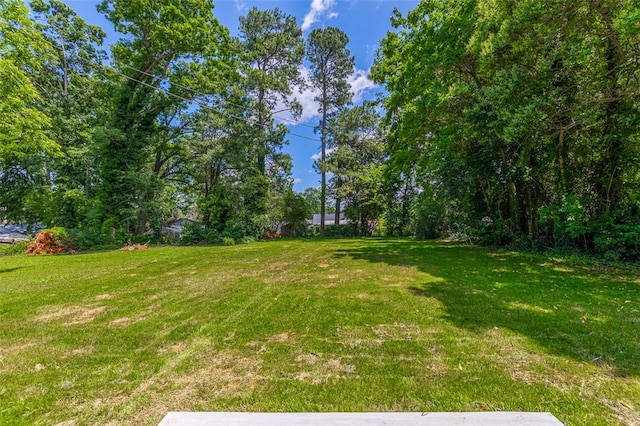 107A Avondale Rd, Anderson, SC 29624 - view of green lawn