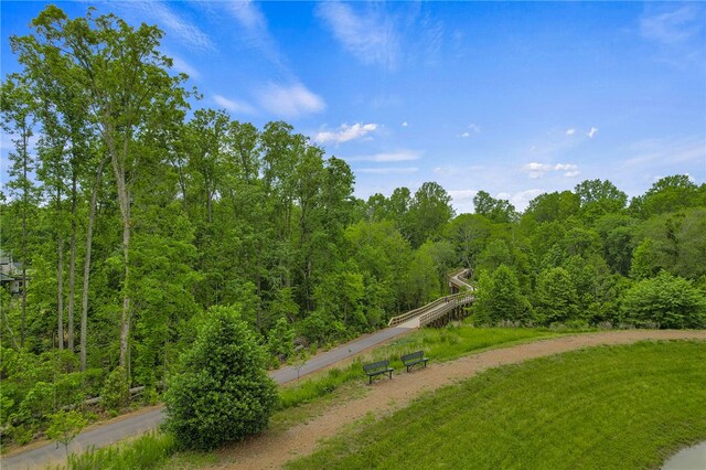 329 Algonquin Trl, Greenville, SC 29607 - photo 46