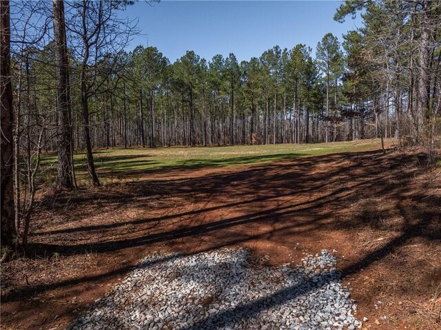 002A Simms Mill Rd, Liberty, SC 29657 - photo 3