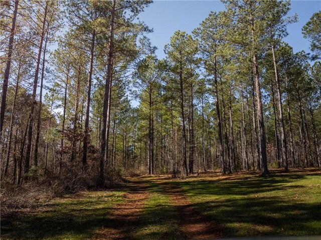 002A Simms Mill Rd, Liberty, SC 29657 - photo 4
