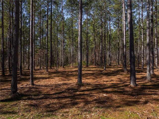 002A Simms Mill Rd, Liberty, SC 29657 - photo 5