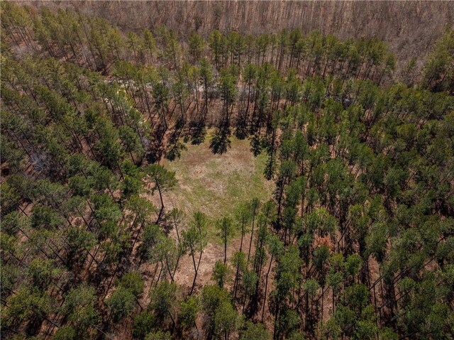 002A Simms Mill Rd, Liberty, SC 29657 - photo 6