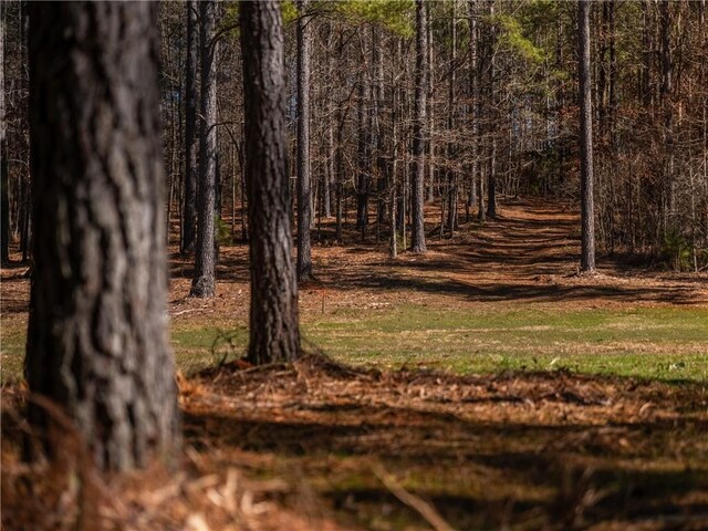 002A Simms Mill Rd, Liberty, SC 29657 - photo 8