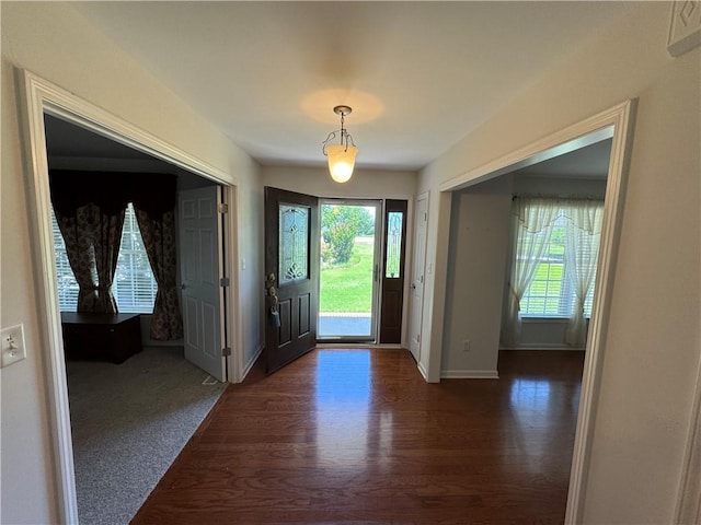 106 Dewars Trl, Anderson, SC 29621 - entryway featuring healthy amount of natural light, dark wood-style flooring, and baseboards