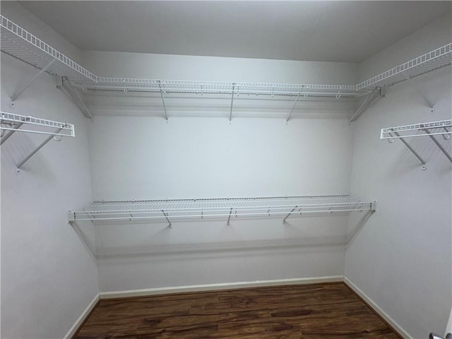 106 Dewars Trl, Anderson, SC 29621 - spacious closet with wood finished floors