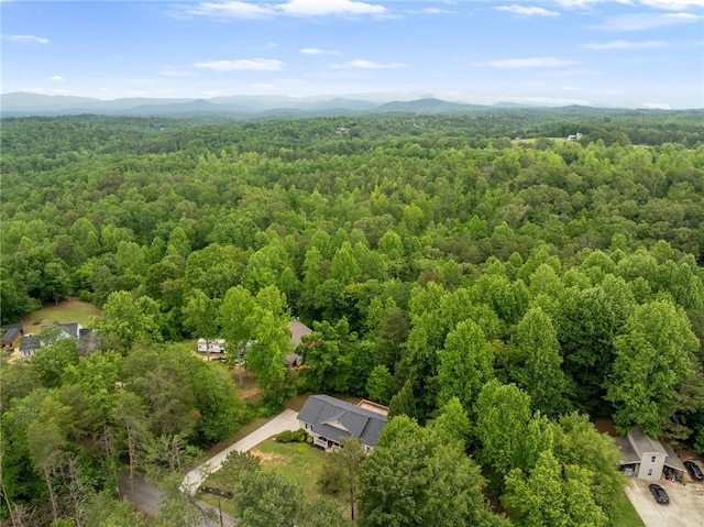 232 Ike Rd, Six Mile, SC 29682 - photo 40