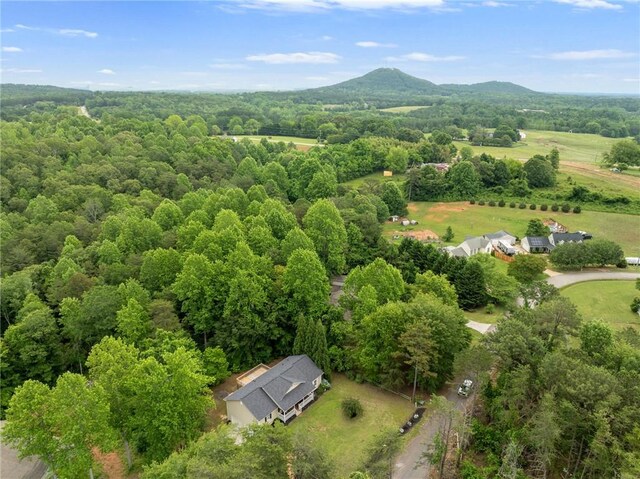 232 Ike Rd, Six Mile, SC 29682 - photo 41