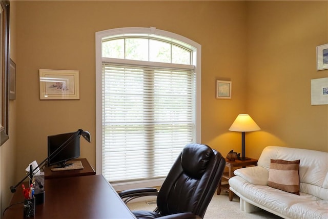 122 Langwell Dr, Anderson, SC 29621 - view of office