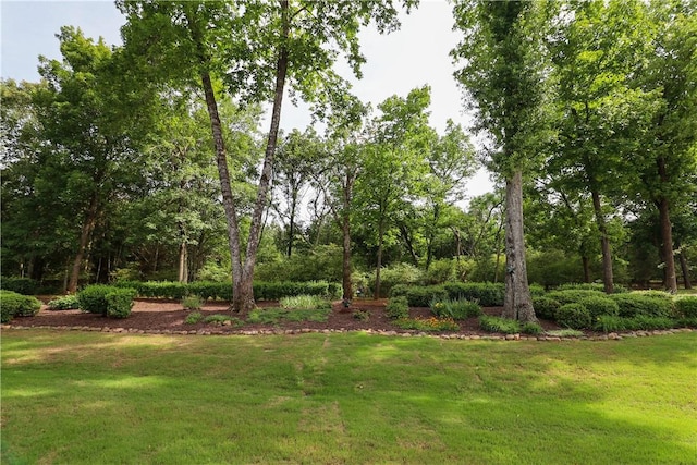 122 Langwell Dr, Anderson, SC 29621 - view of green lawn
