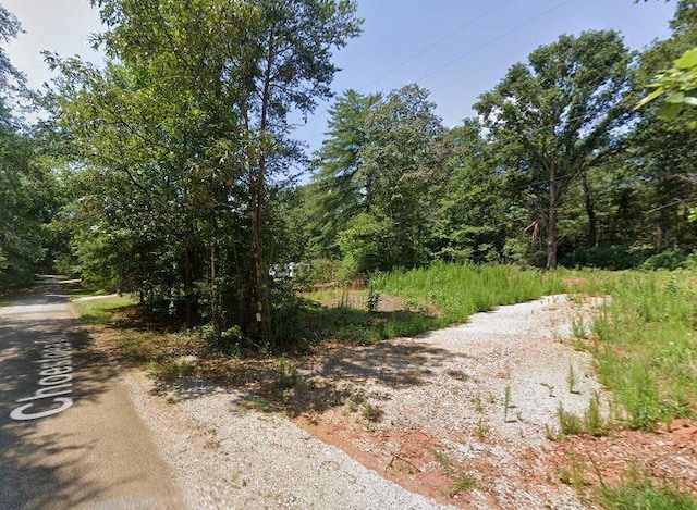 300 Choestoea Rd, Westminster, SC 29693 - photo 1