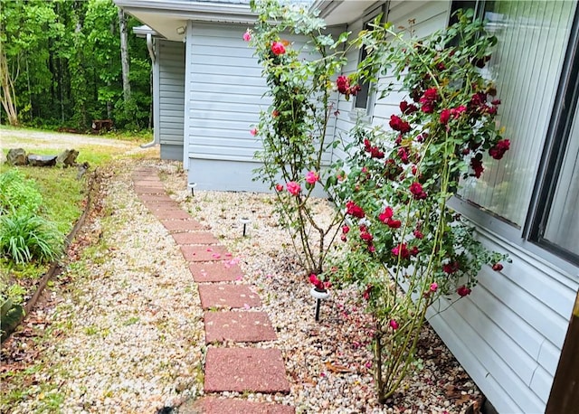 466 Whetstone Rd, Mountain Rest, SC 29664 - view of yard