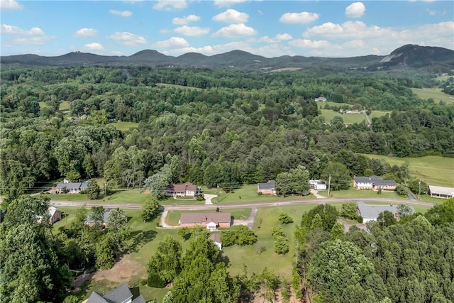 267 Crescent Hill Dr, Pickens, SC 29671 - photo 32