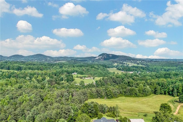 267 Crescent Hill Dr, Pickens, SC 29671 - photo 33