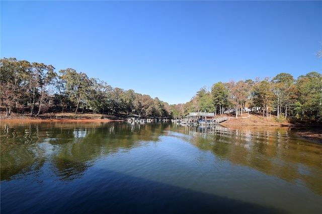 425 Lakewood Dr, Townville, SC 29689 - water view featuring a heavily wooded area