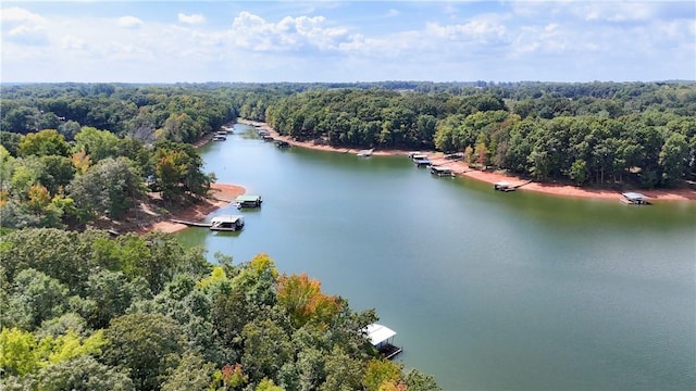 425 Lakewood Dr, Townville, SC 29689 - bird's eye view of a forest and a nearby body of water