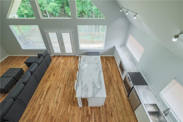 425 Lakewood Dr, Townville, SC 29689 - living area featuring track lighting, light wood-type flooring, baseboards, high vaulted ceiling, and french doors
