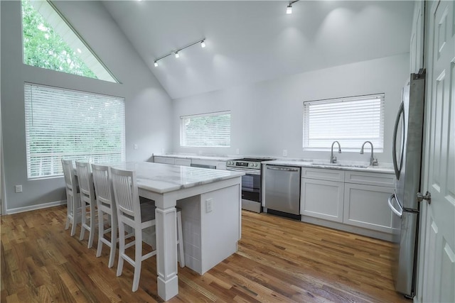 425 Lakewood Dr, Townville, SC 29689 - kitchen with appliances with stainless steel finishes, track lighting, a sink, plenty of natural light, and high vaulted ceiling