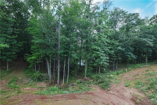 425 Lakewood Dr, Townville, SC 29689 - view of local wilderness
